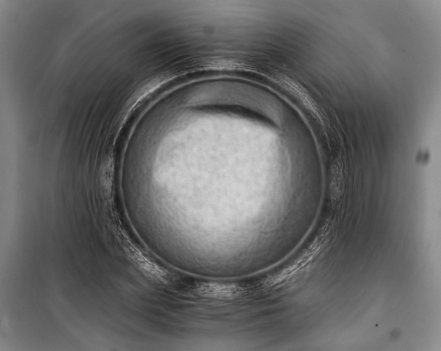 X0000100930831200807011219