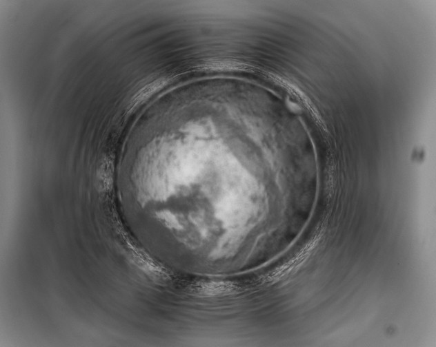 X0000100930833200807011219