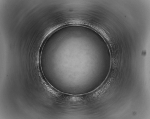 X0000100930839200807011219