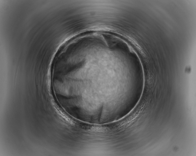 X0000100930840200807011219