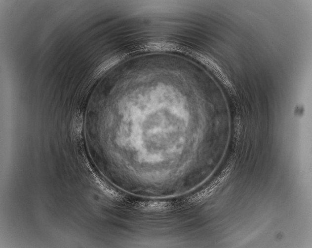 X0000100930841200807011219