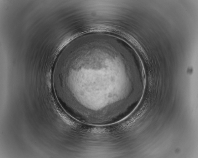 X0000100930842200807011219