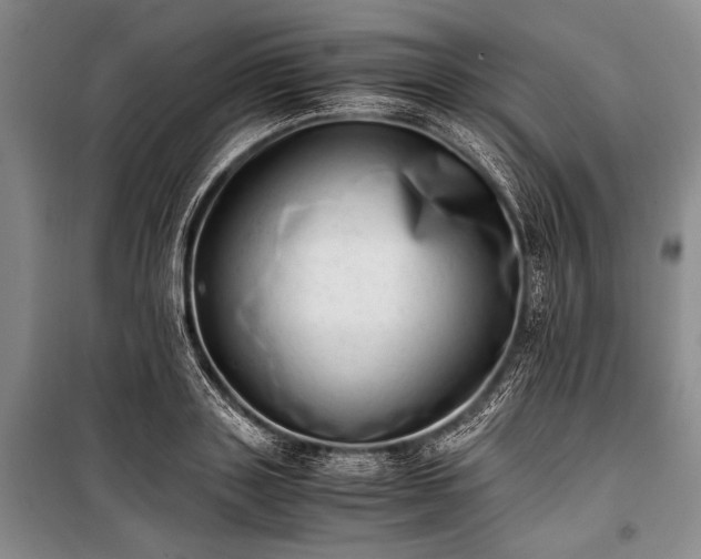 X0000100930843200807011219