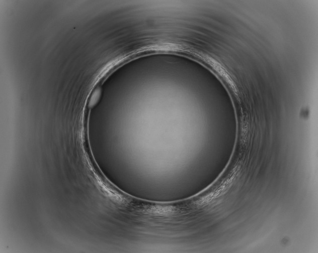 X0000100930845200807011219