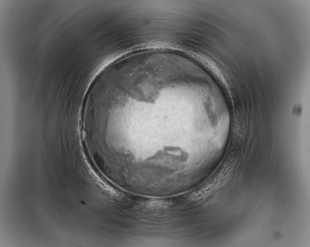 X0000100930847200807011219