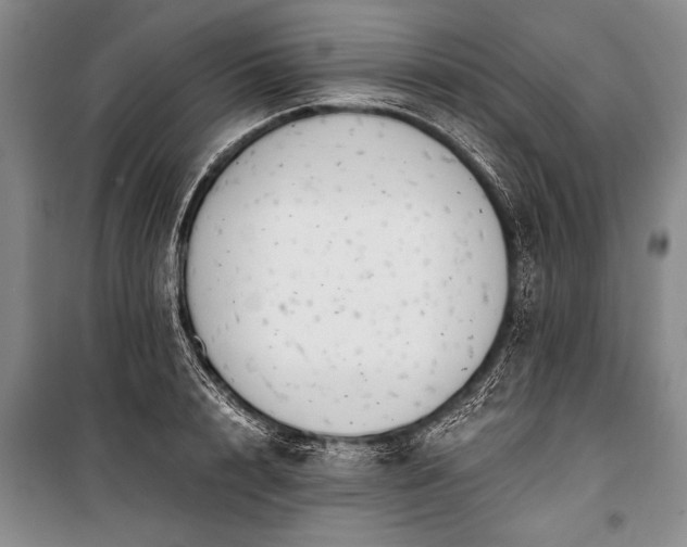 X0000100930848200807011219