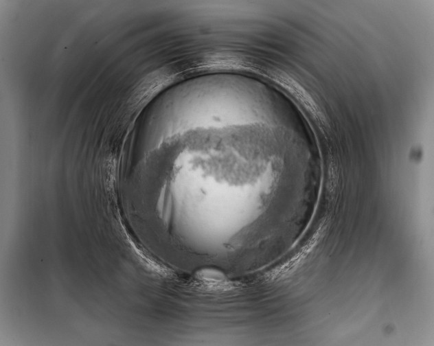 X0000100930849200807011219