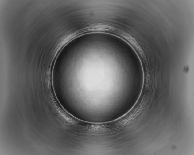 X0000100930850200807011219