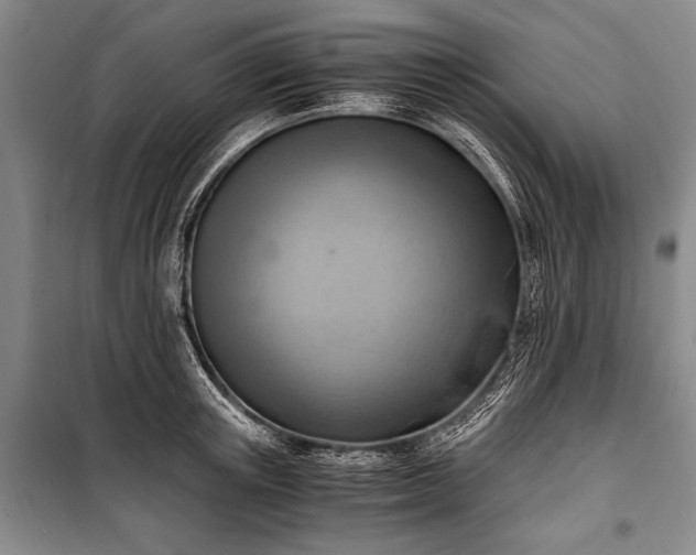 X0000100930851200807011220