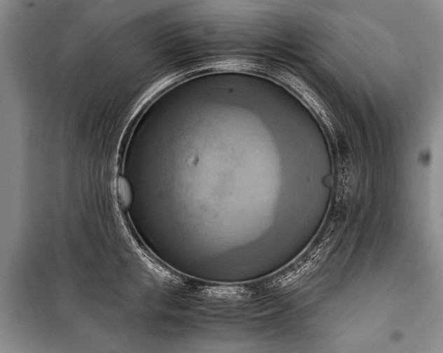 X0000100930853200807011220