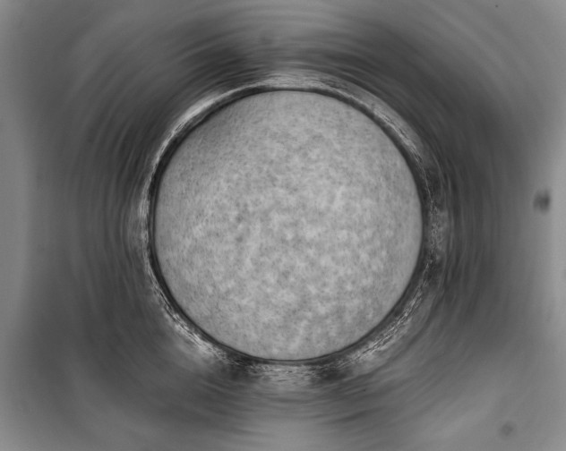 X0000100930856200807011220