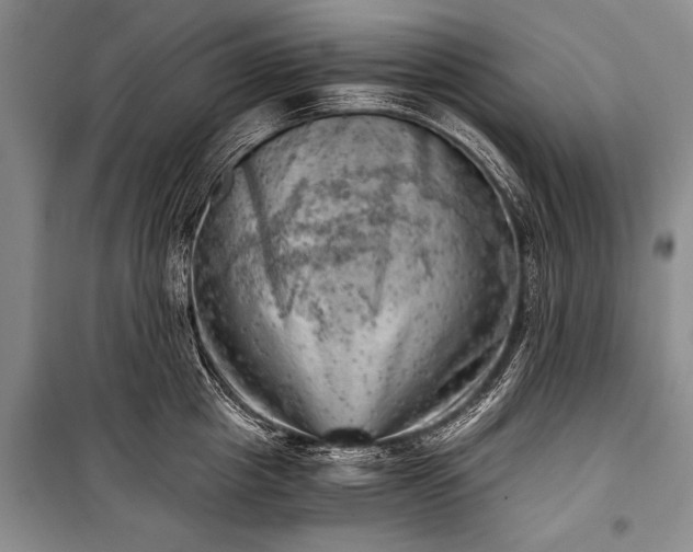 X0000100930857200807011220