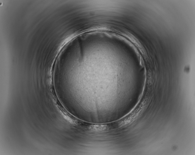 X0000100930858200807011220