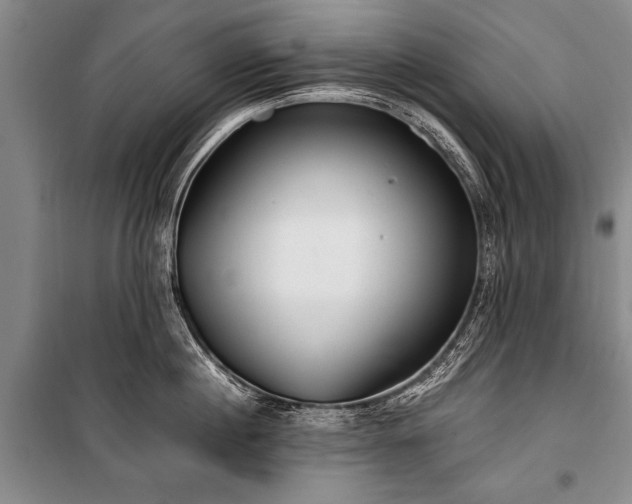 X0000100930860200807011220