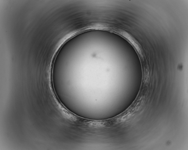 X0000100930861200807011220