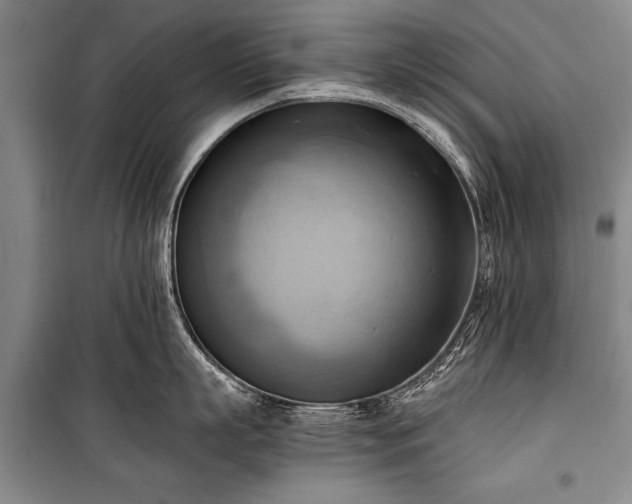 X0000100930863200807011220