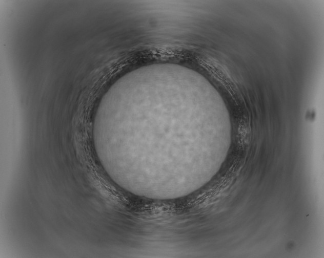 X0000100930865200807011219