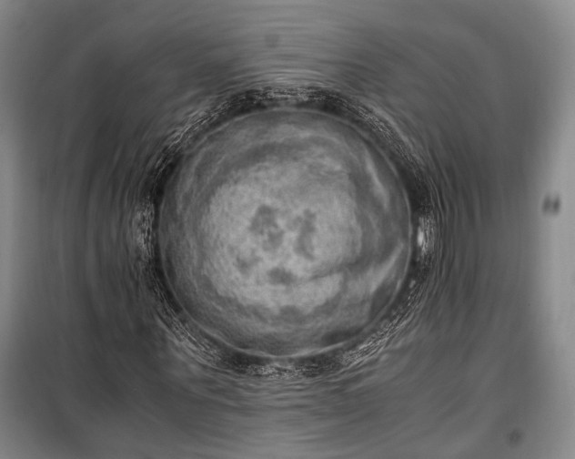 X0000100930867200807011219