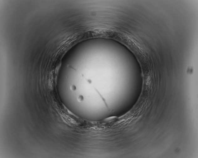 X0000100930868200807011219