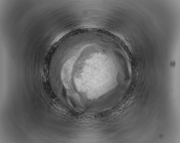 X0000100930871200807011219