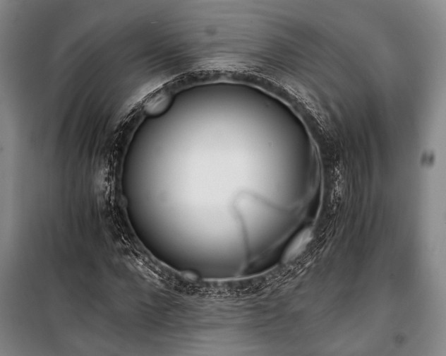 X0000100930872200807011219