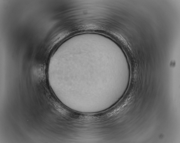 X0000100930873200807011219