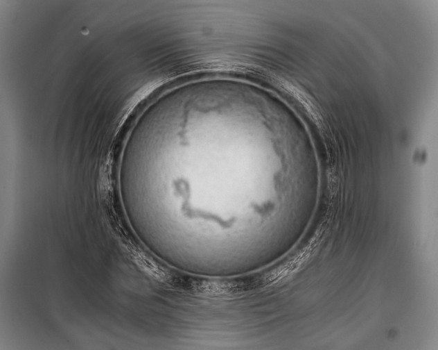 X0000100930875200807011219