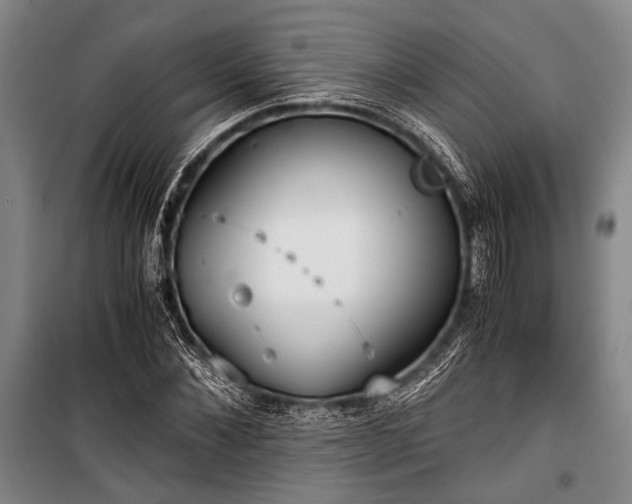 X0000100930876200807011219