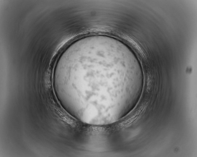 X0000100930878200807011219