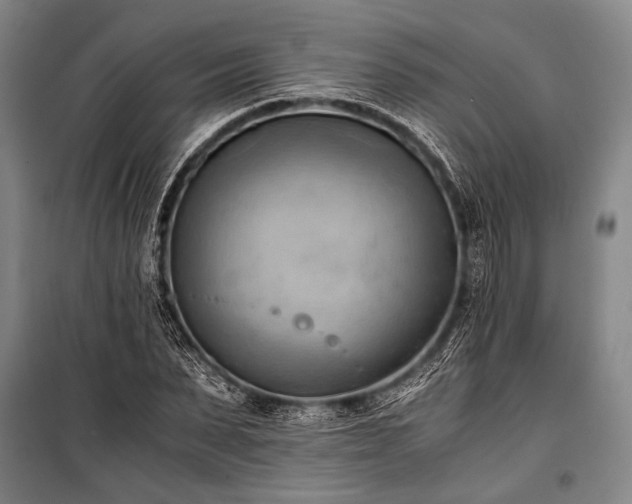 X0000100930879200807011219