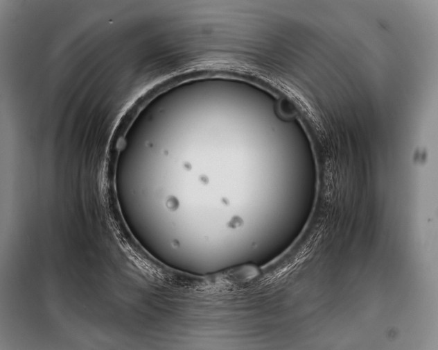 X0000100930880200807011219