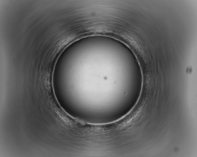 X0000100930881200807011219