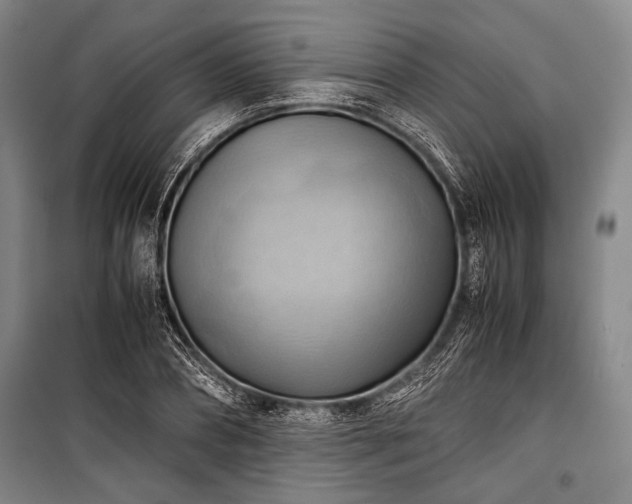 X0000100930882200807011219