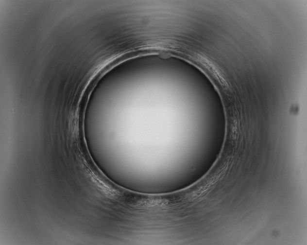 X0000100930884200807011219