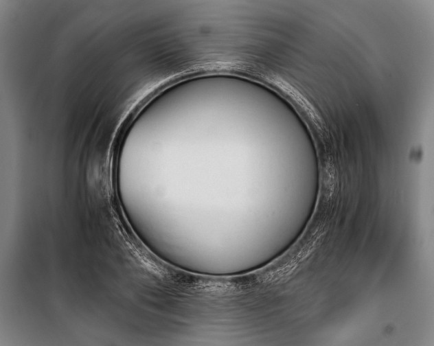 X0000100930886200807011219