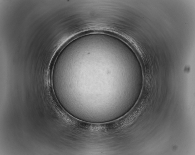 X0000100930887200807011219