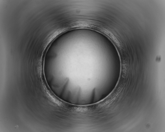 X0000100930890200807011219