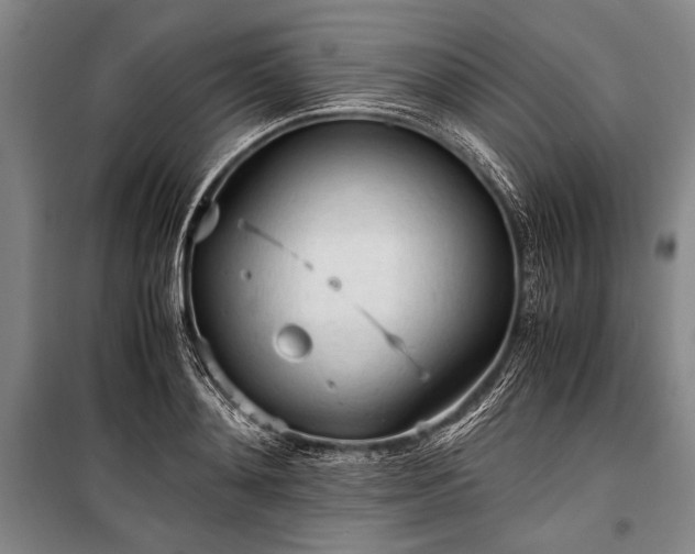 X0000100930892200807011219