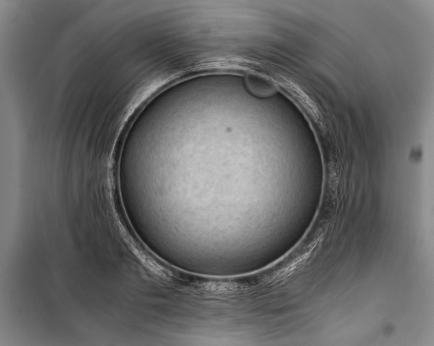 X0000100930893200807011219