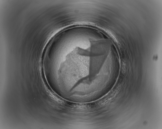 X0000100930895200807011219