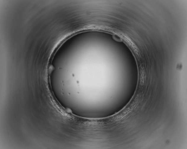 X0000100930896200807011219