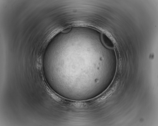 X0000100930897200807011218