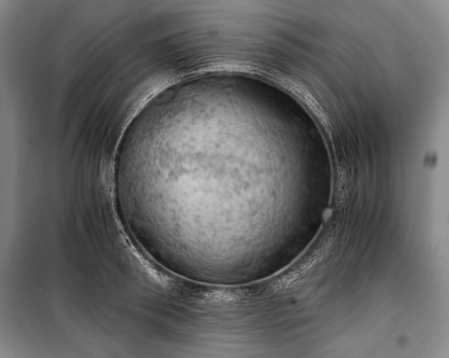 X0000100930898200807011218