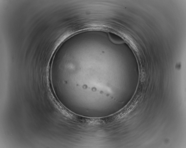 X0000100930899200807011218