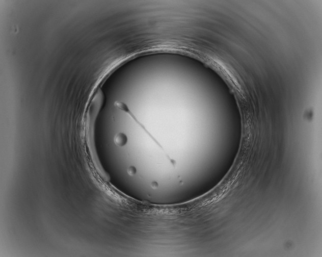 X0000100930900200807011218