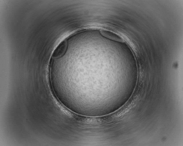 X0000100930901200807011218