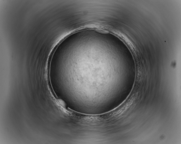 X0000100930902200807011218