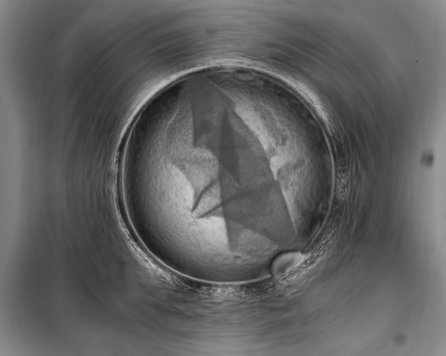 X0000100930903200807011218