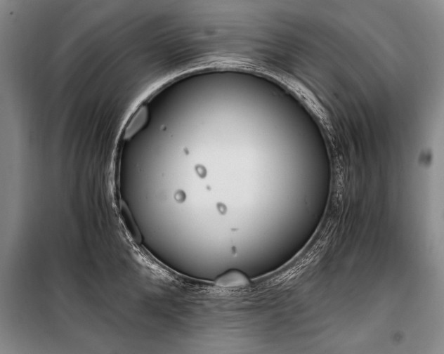 X0000100930904200807011218