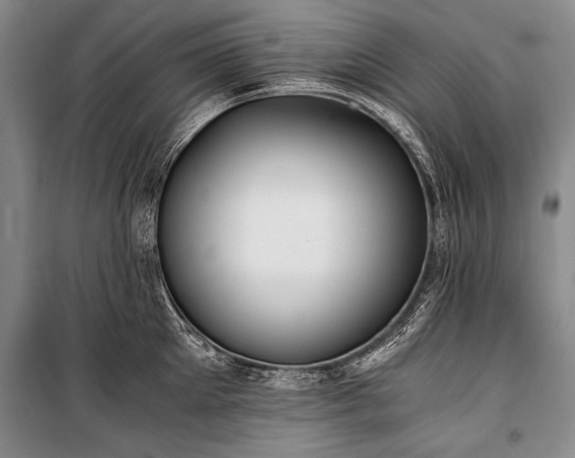 X0000100930905200807011218